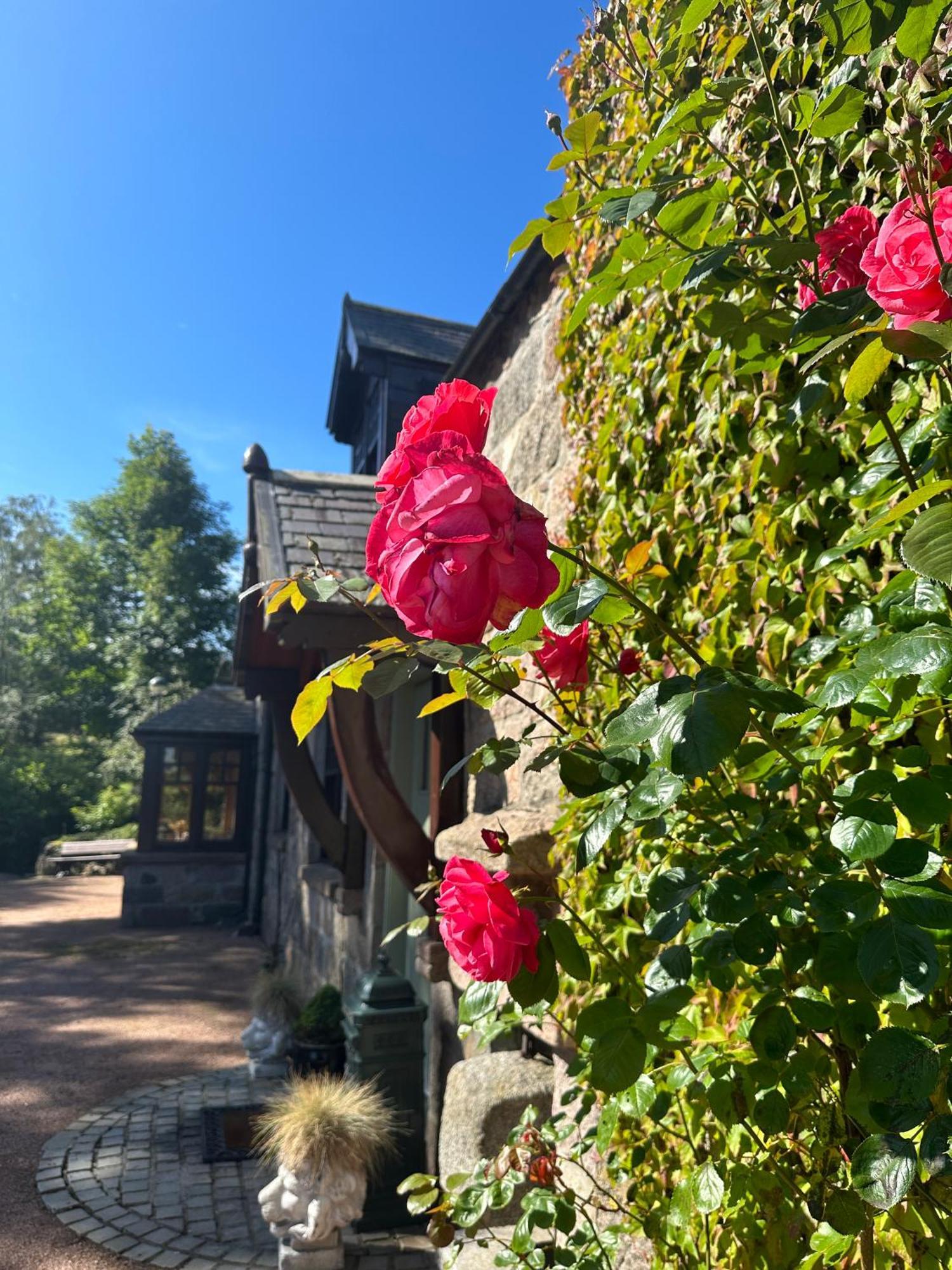 Bed and Breakfast Awakening Alchemy Retreat Centre Инверури Экстерьер фото